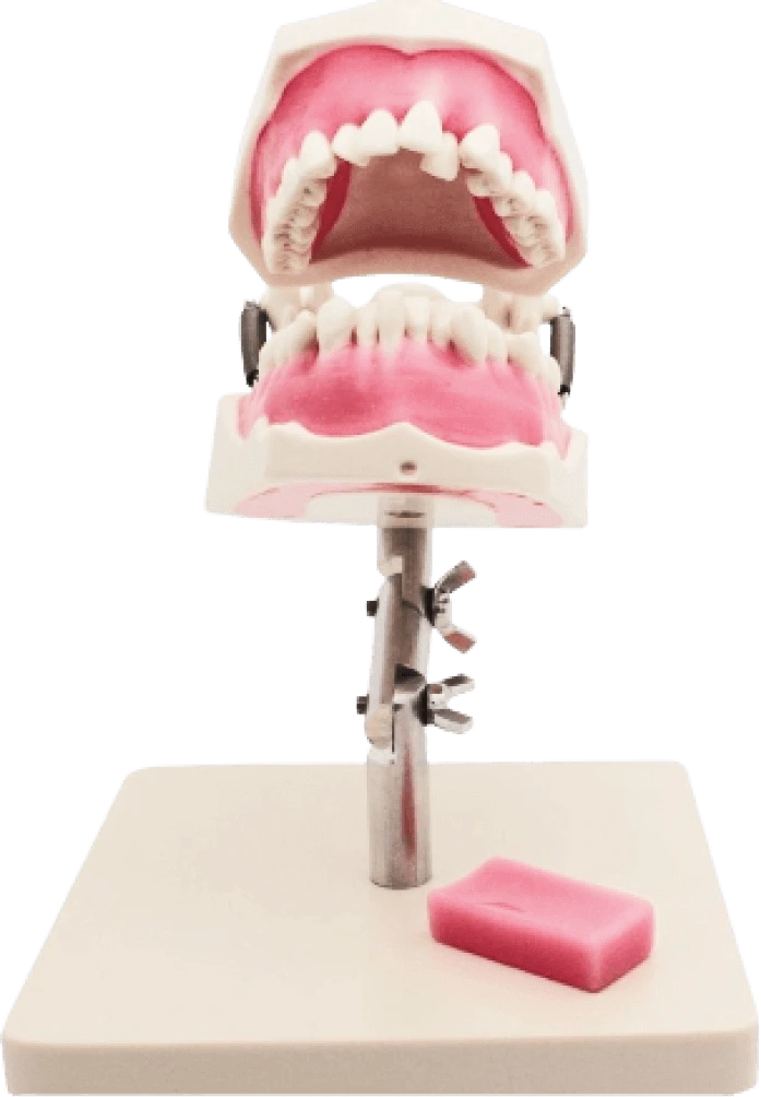 Мануальные навыки ортодонта